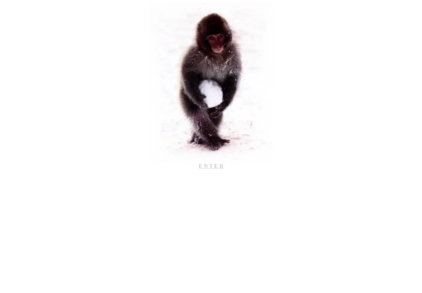 Screenshot of primates.com