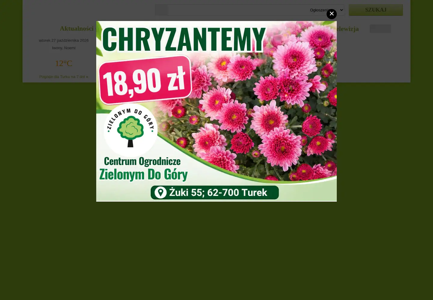 Captured homepage of turek.net.pl in the current scan