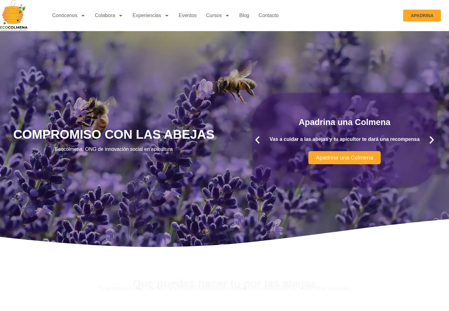 Captured homepage of ecocolmena.org in the current scan