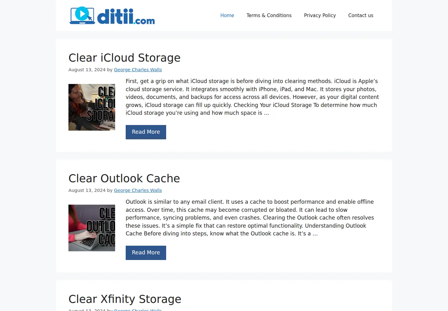 Captured homepage of ditii.com in the current scan