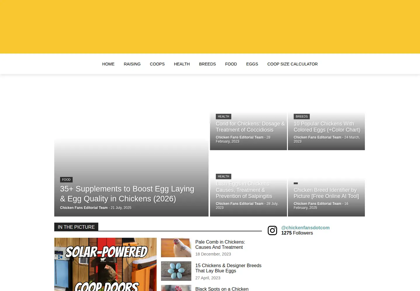 Screenshot of the-coop.org