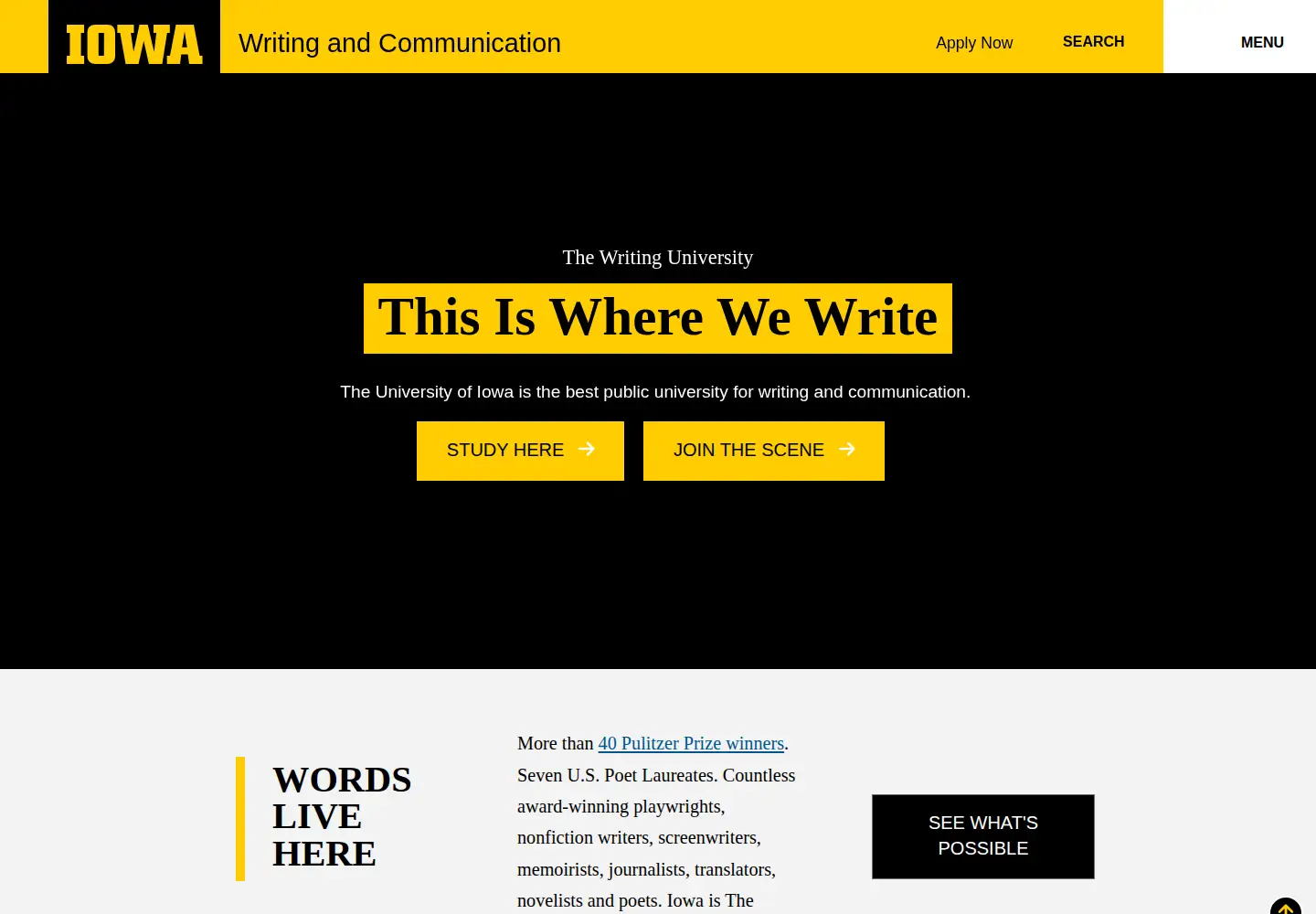 Screenshot of writinguniversity.org