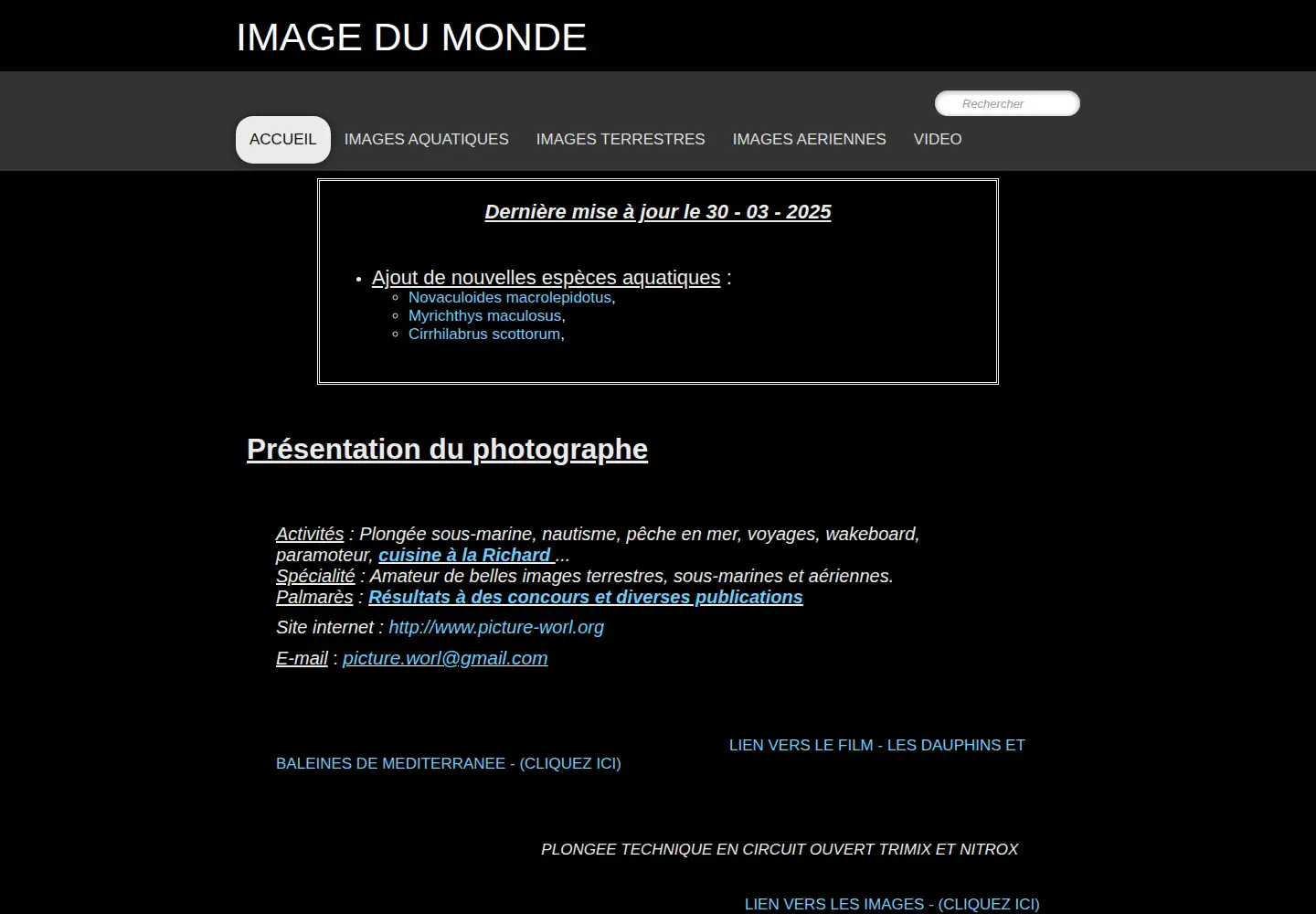 Captured homepage of picture-worl.org in the current scan