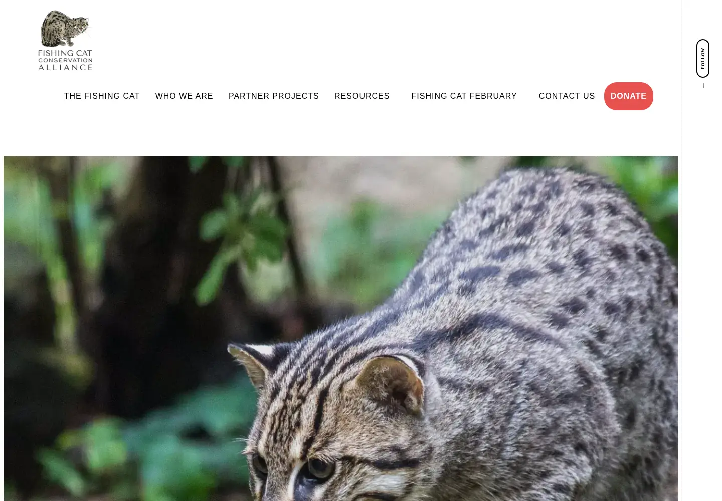 Captured homepage of fishingcat.org in the current scan
