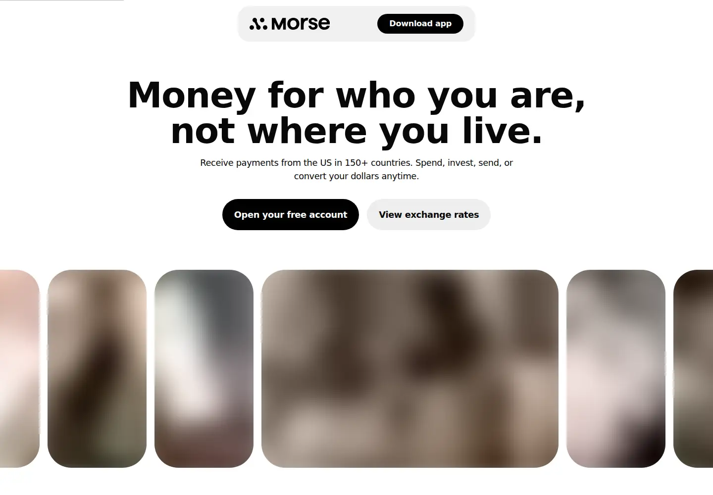Captured homepage of sling.money in the current scan
