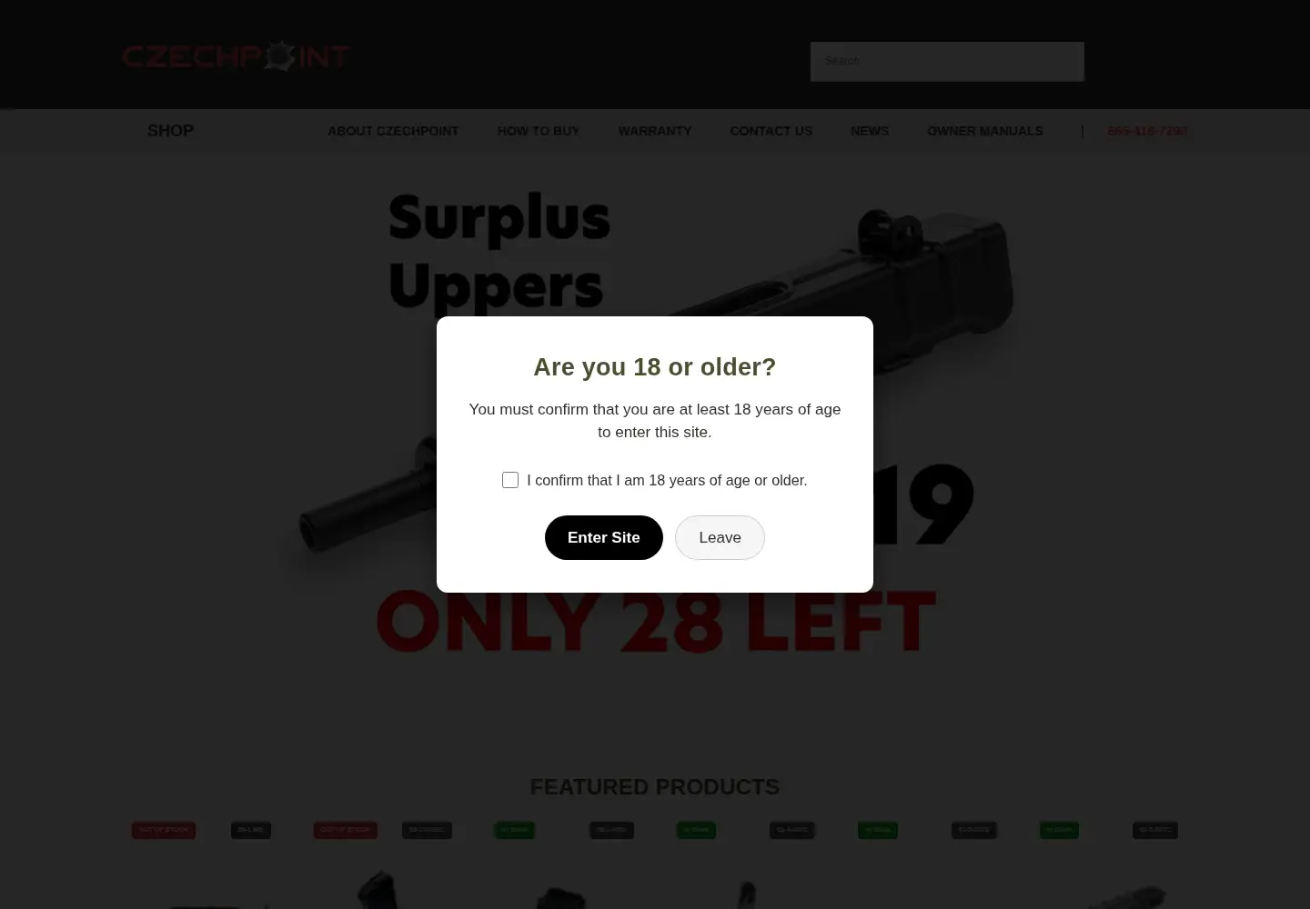 Screenshot of czechpoint-usa.com