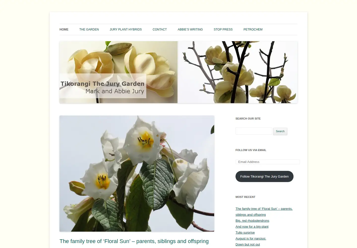 Captured homepage of jury.co.nz in the current scan