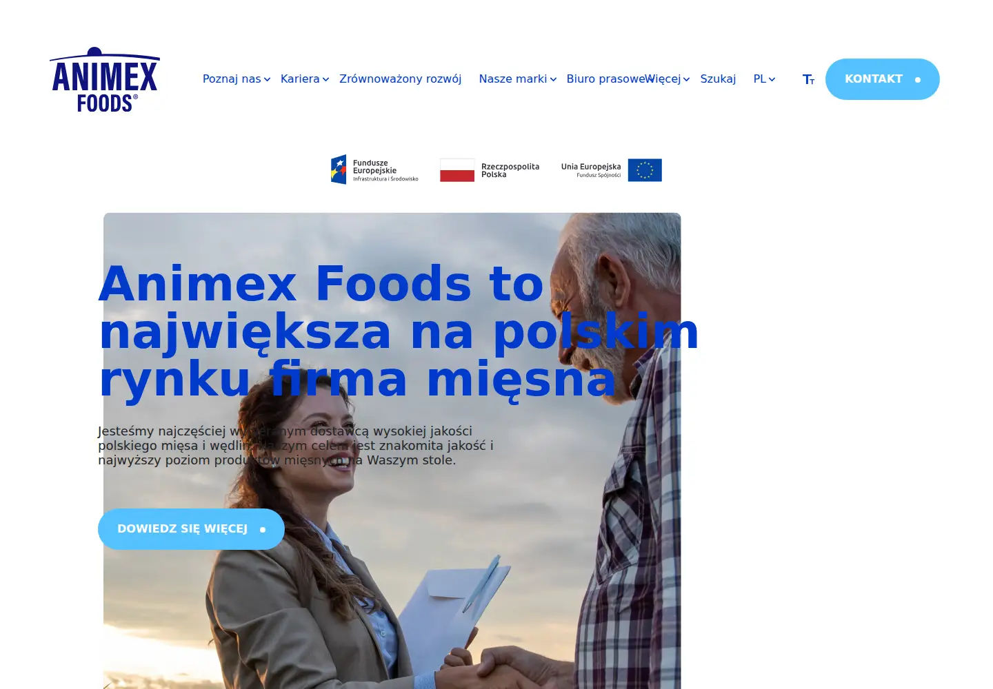 Screenshot of animex.pl