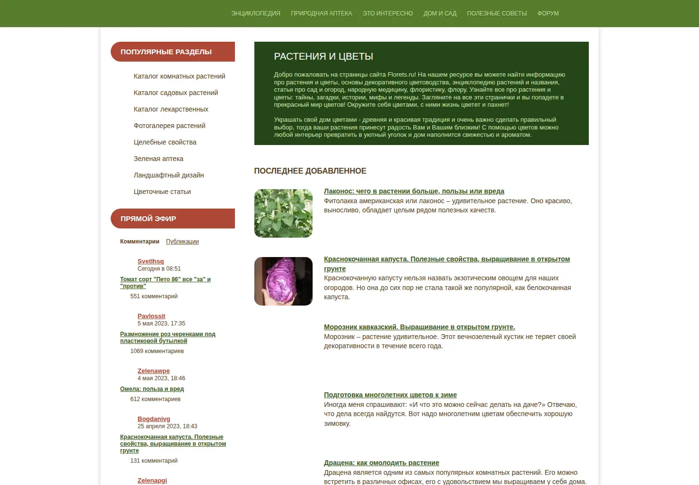 Captured homepage of florets.ru in the current scan