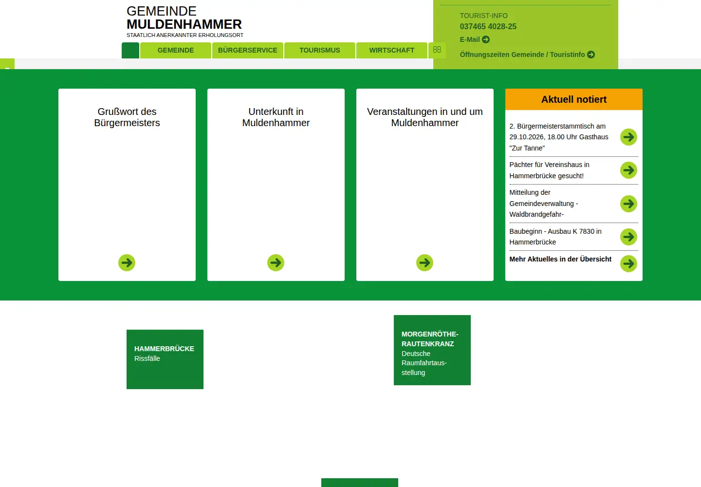 Screenshot of muldenhammer.com
