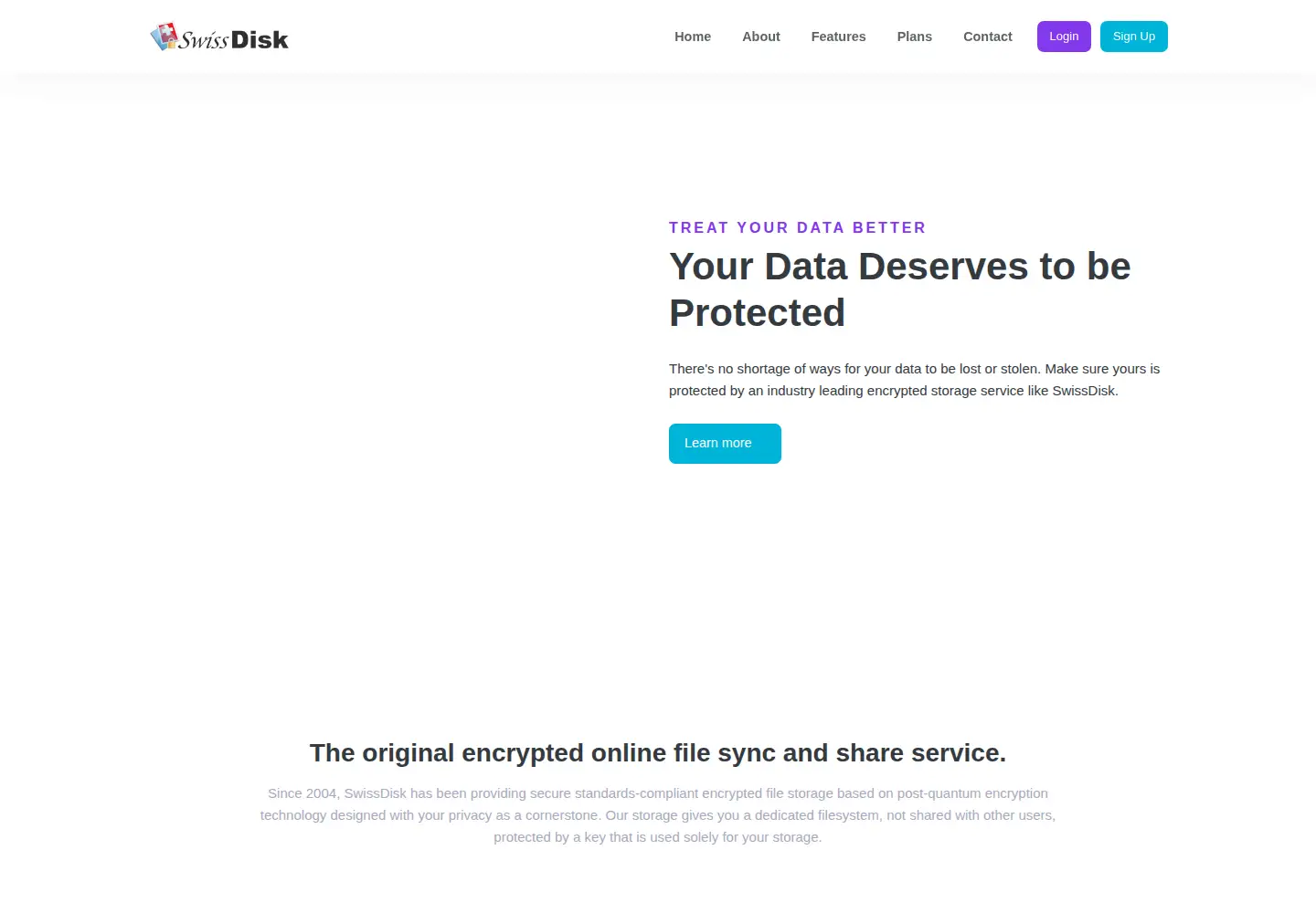 Captured homepage of swissdisk.com in the current scan