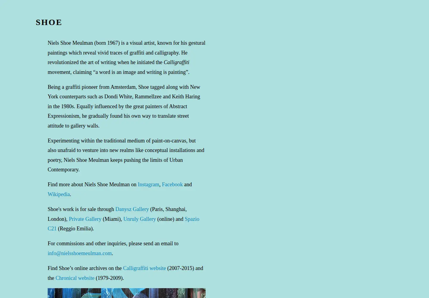 Screenshot of nielsshoemeulman.com