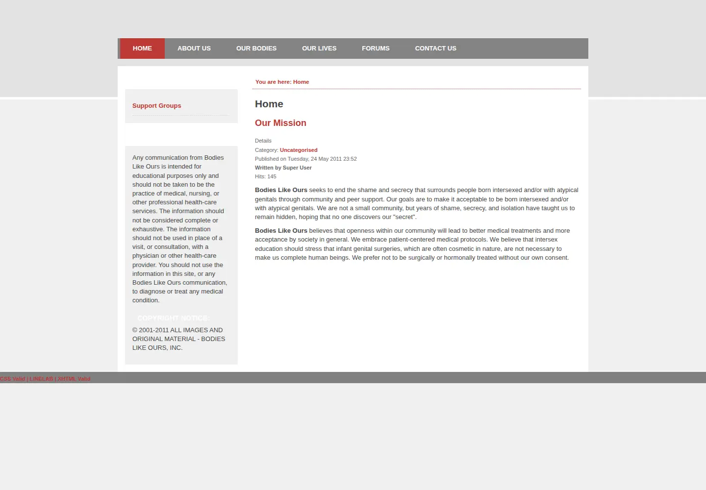 Screenshot of bodieslikeours.org