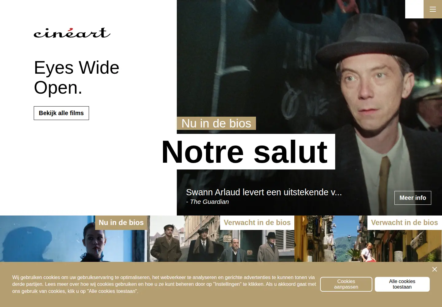 Captured homepage of cineart.be in the current scan