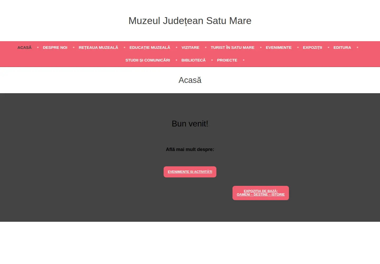 Captured homepage of muzeusm.ro in the current scan