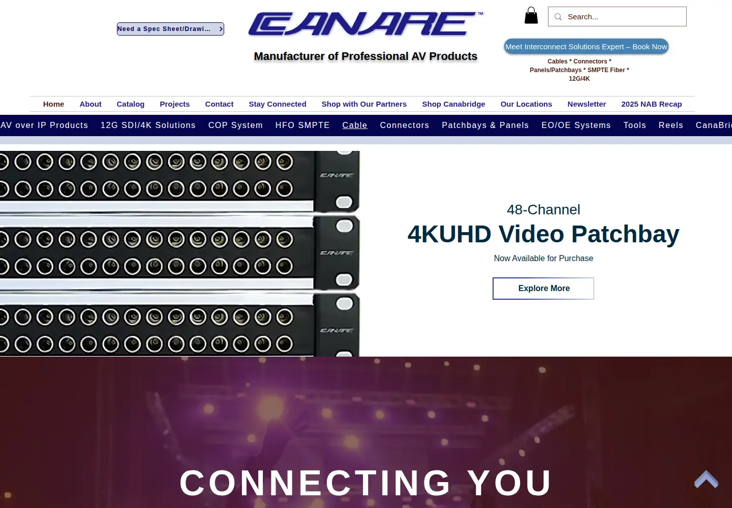 Captured homepage of canare.com in the current scan