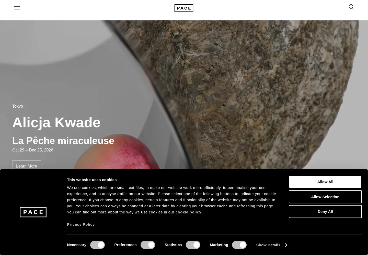 Screenshot of thepacegallery.com