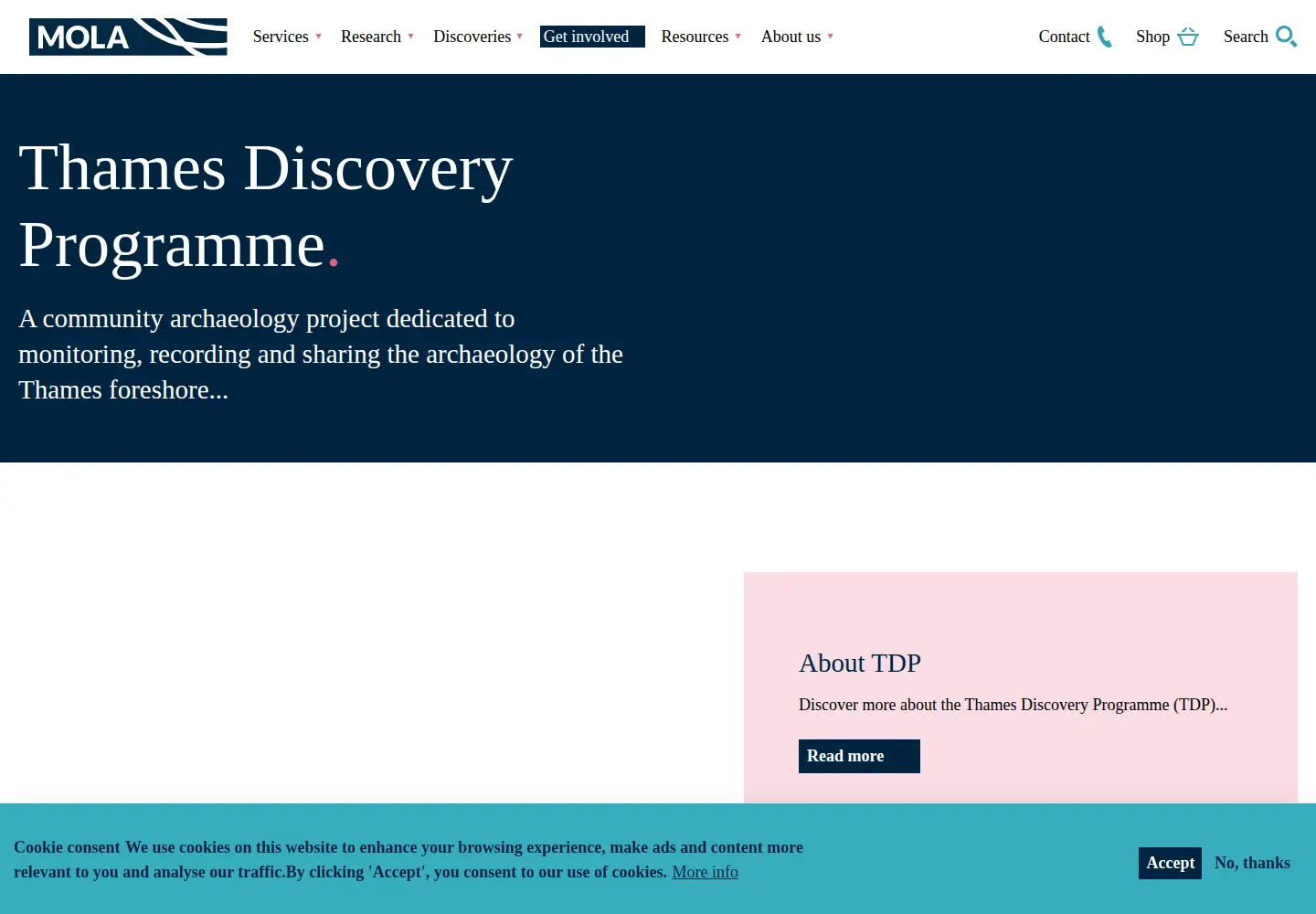 Screenshot of thamesdiscovery.org