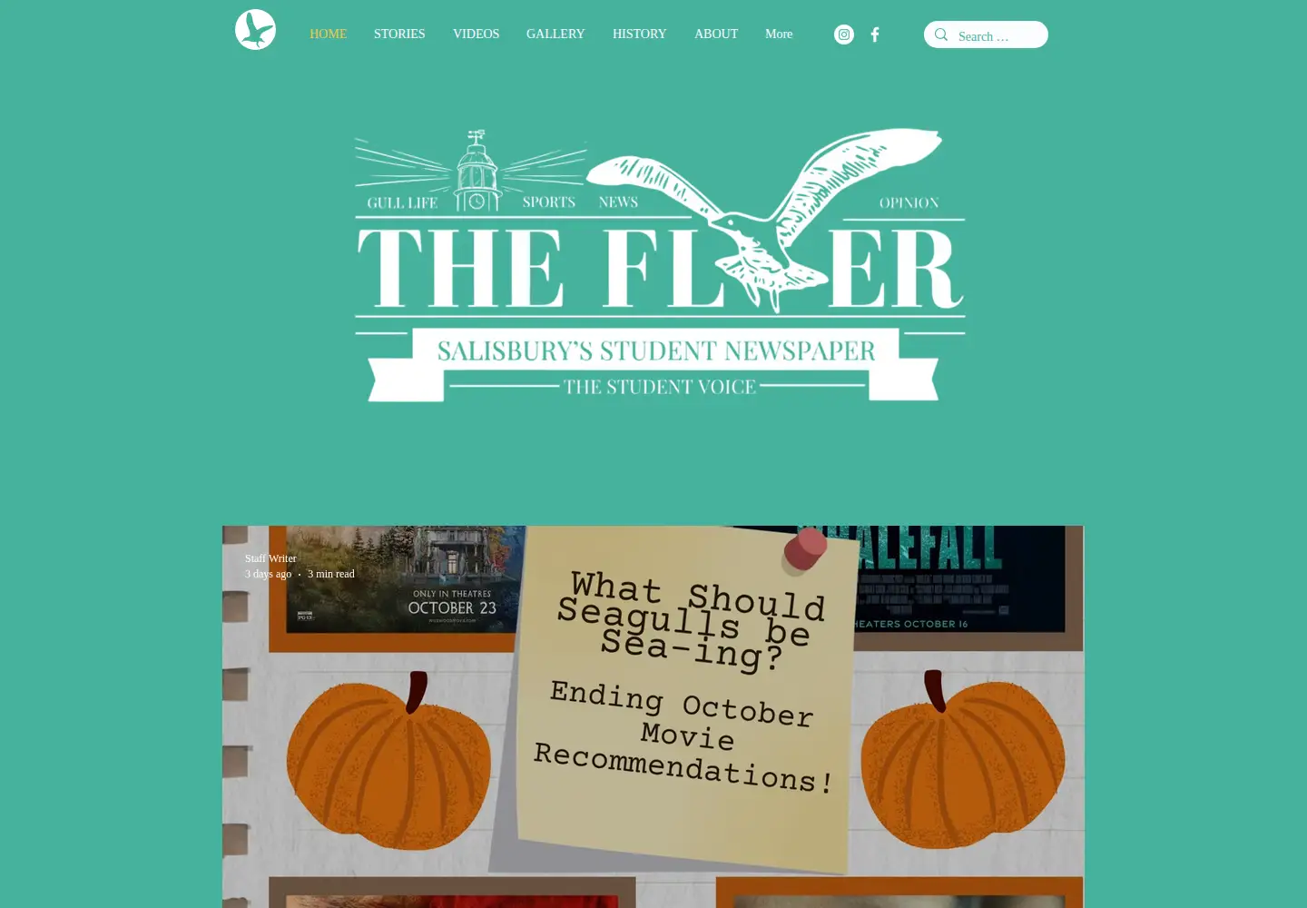 Screenshot of thesuflyer.com