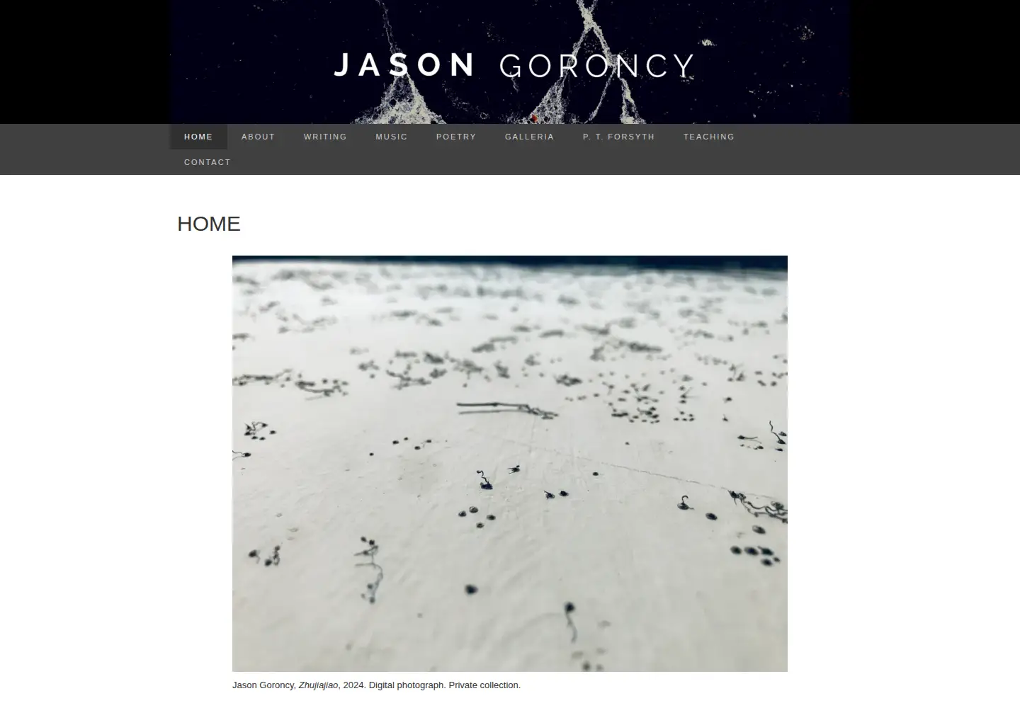 Captured homepage of jasongoroncy.com in the current scan