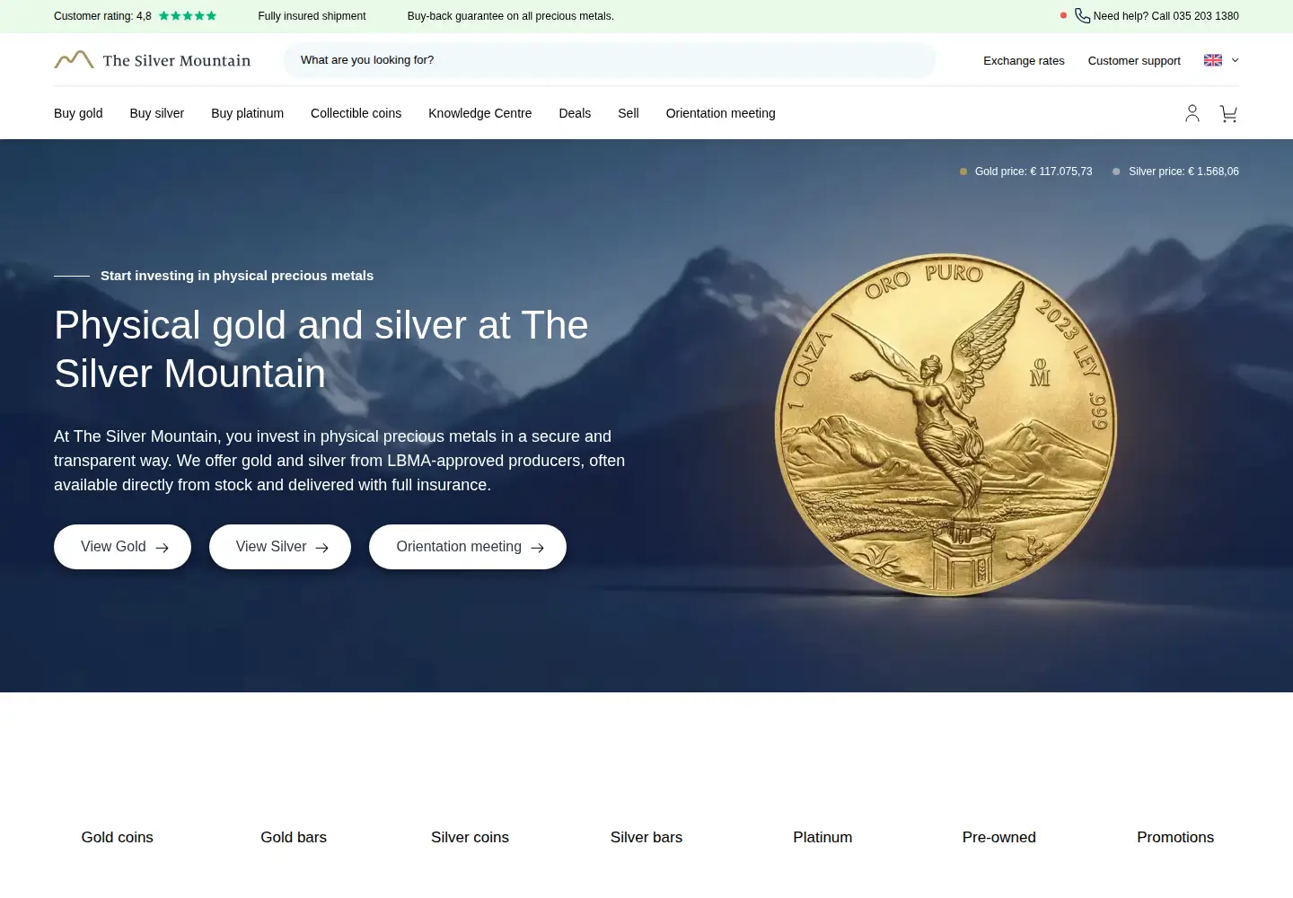 Captured homepage of thesilvermountain.nl in the current scan