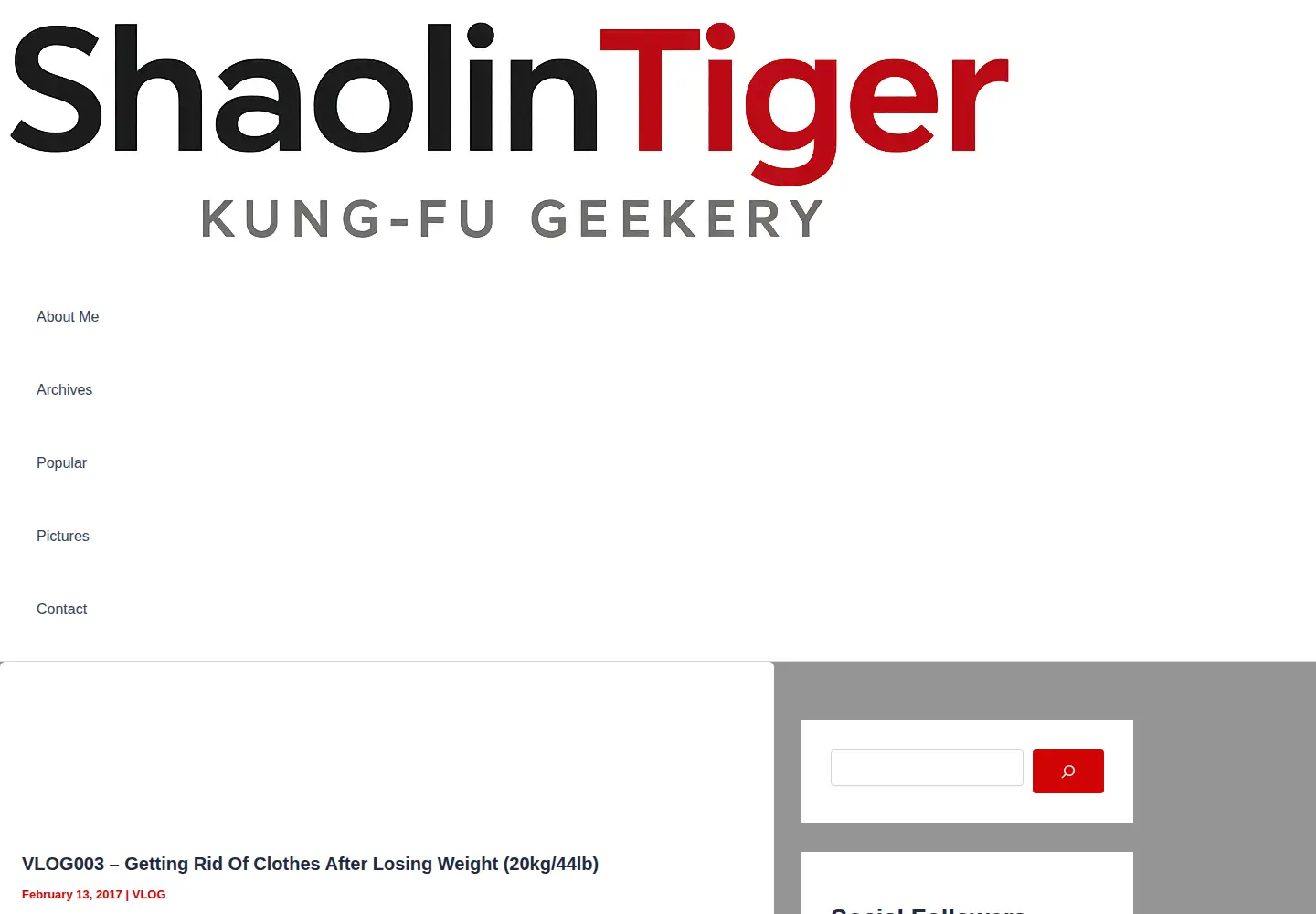 Screenshot of shaolintiger.com