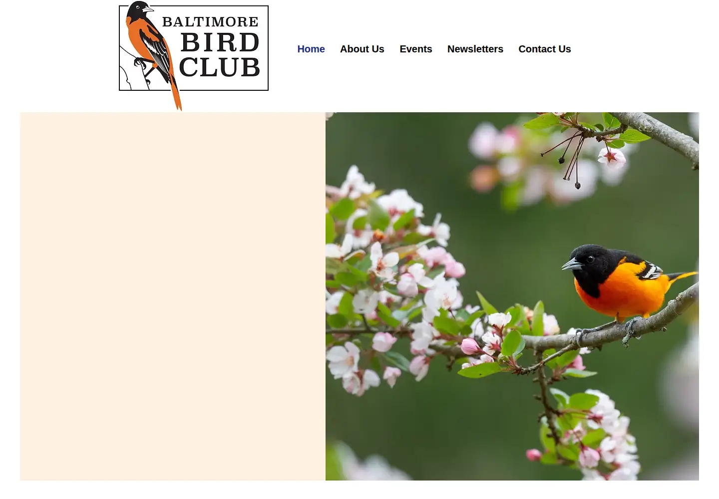 Captured homepage of baltimorebirdclub.org in the current scan