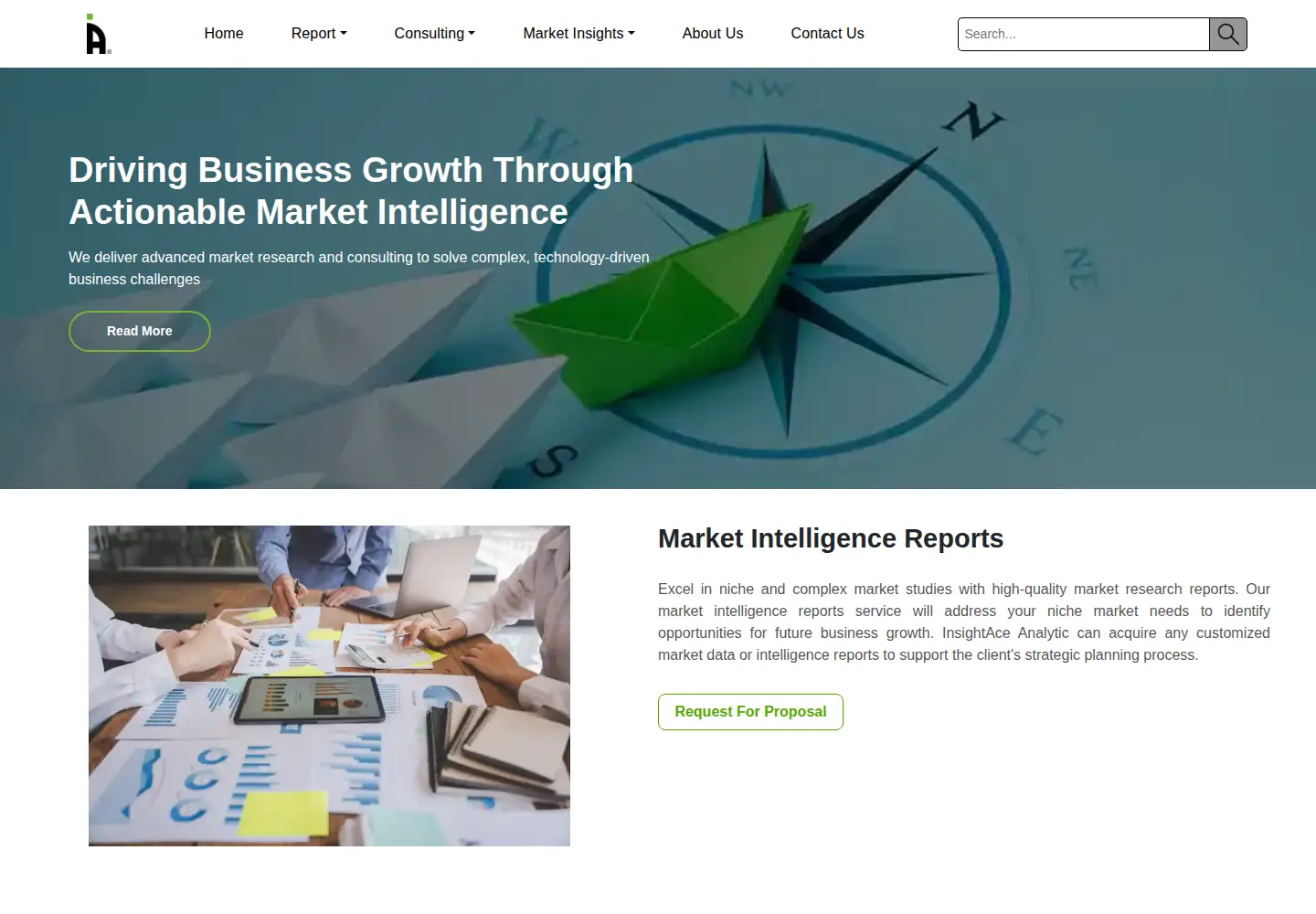 Screenshot of insightaceanalytic.com