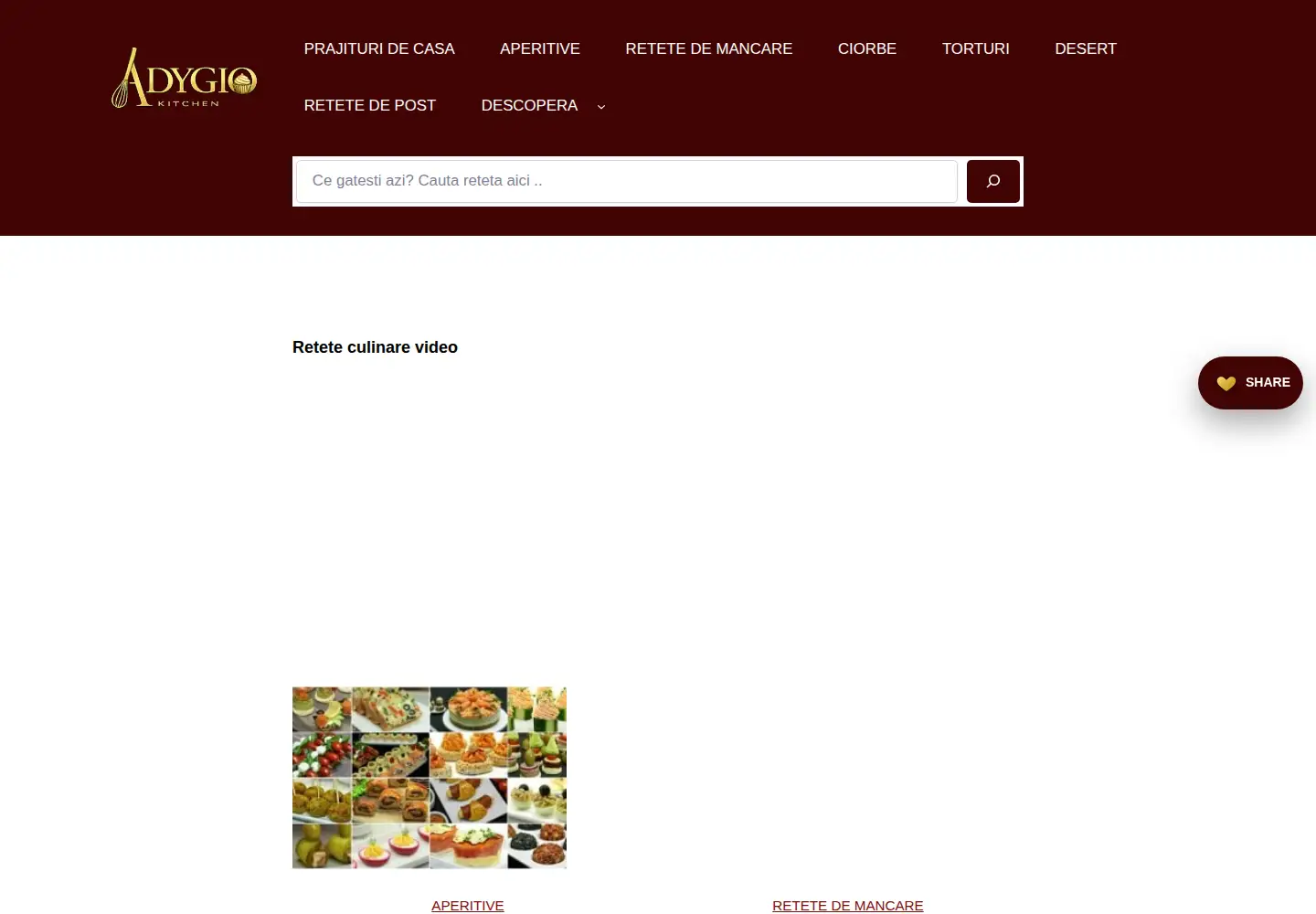 Captured homepage of adygio.com in the current scan