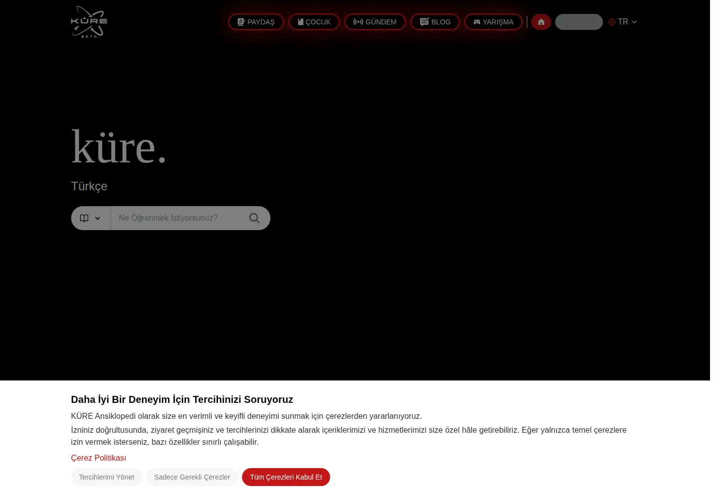 Screenshot of kureansiklopedi.com