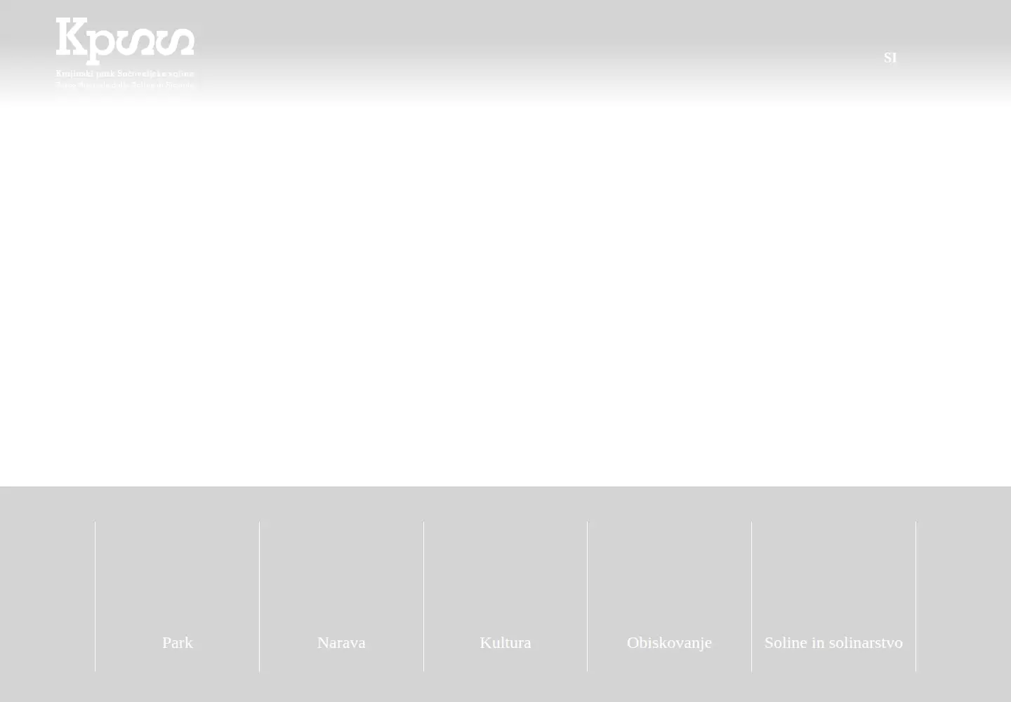 Screenshot of kpss.si