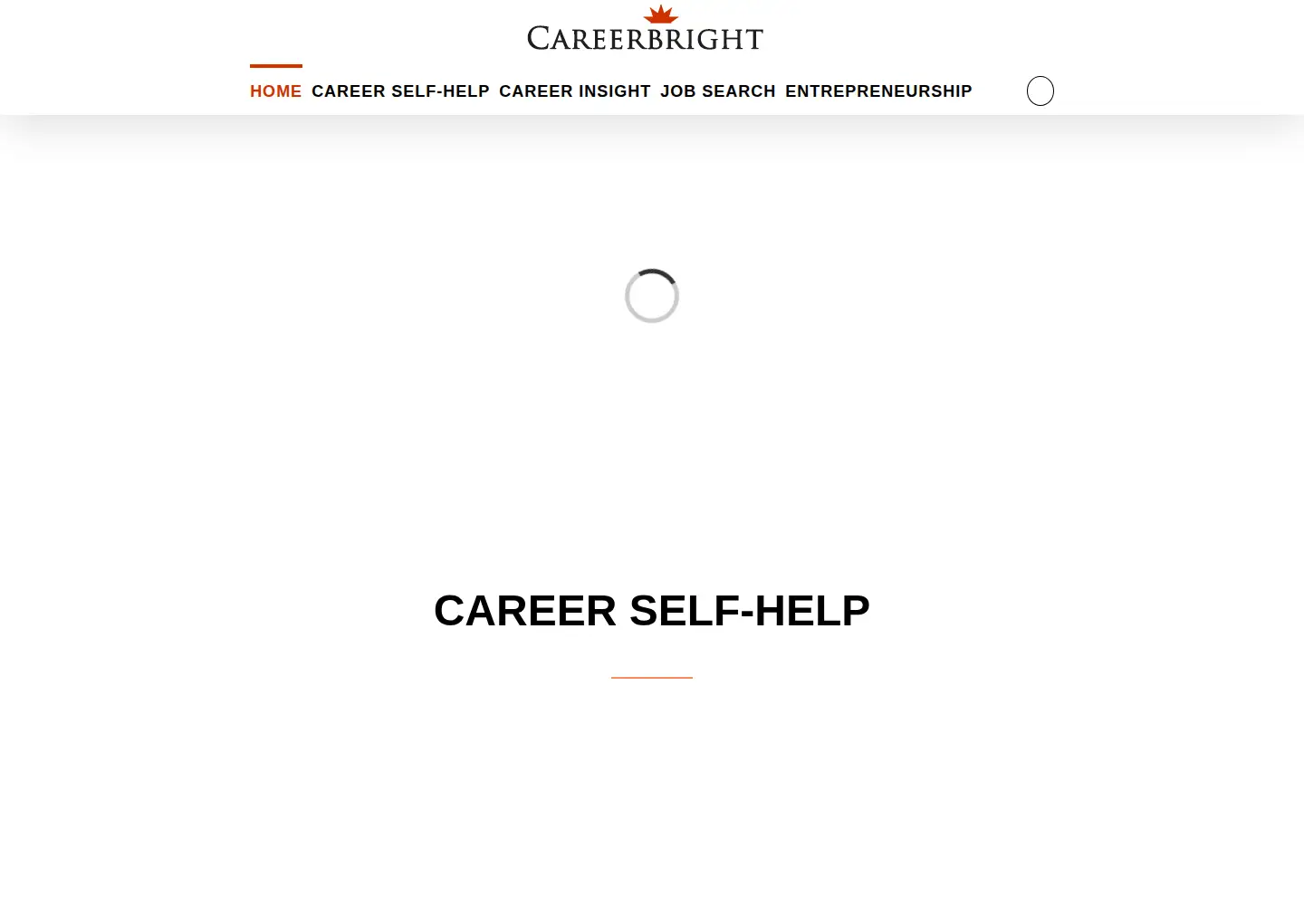 Captured homepage of careerbright.com in the current scan