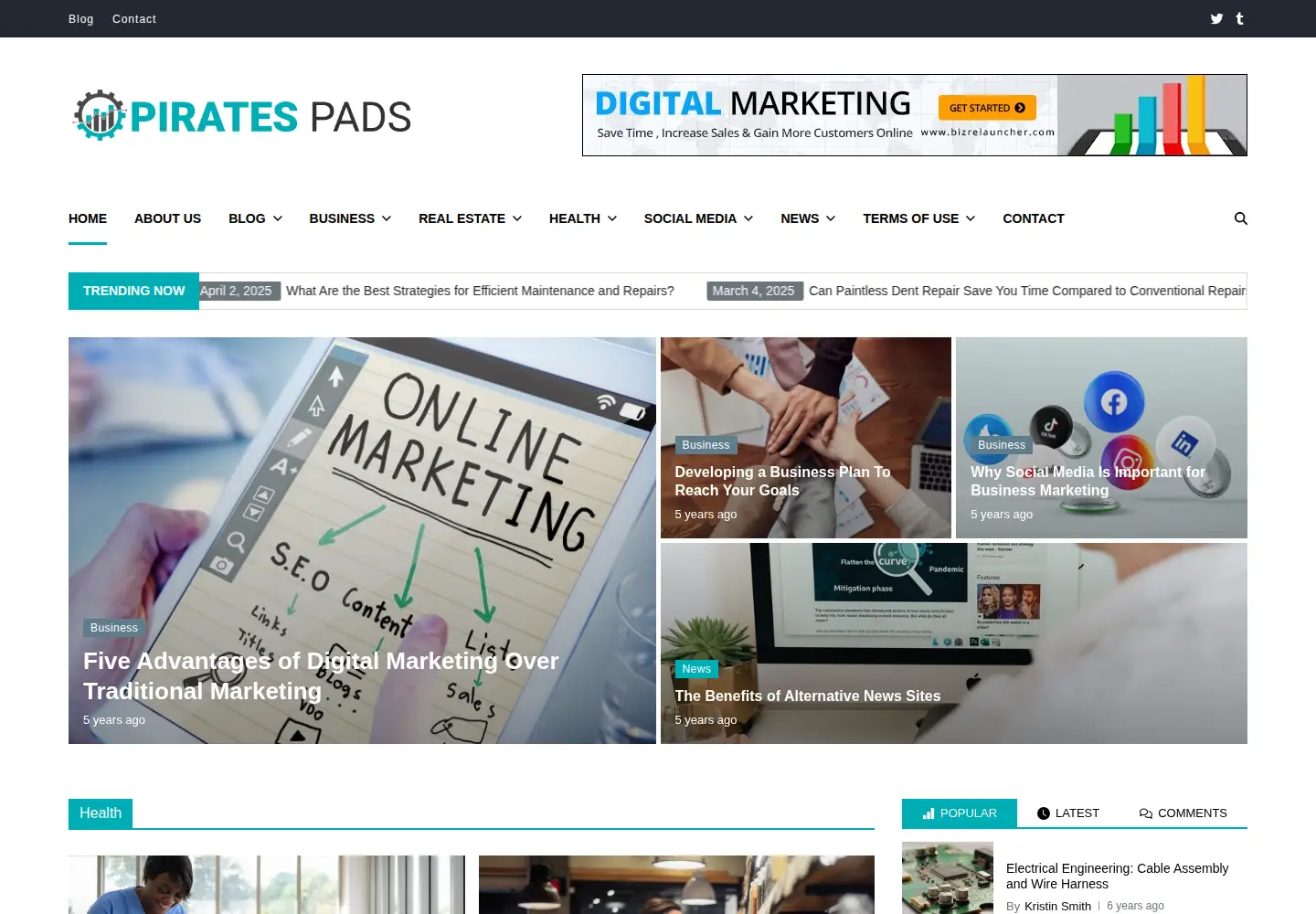 Captured homepage of piratepad.ca in the current scan