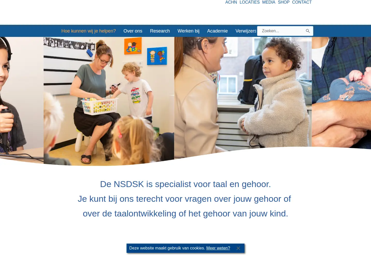 Screenshot of nsdsk.nl