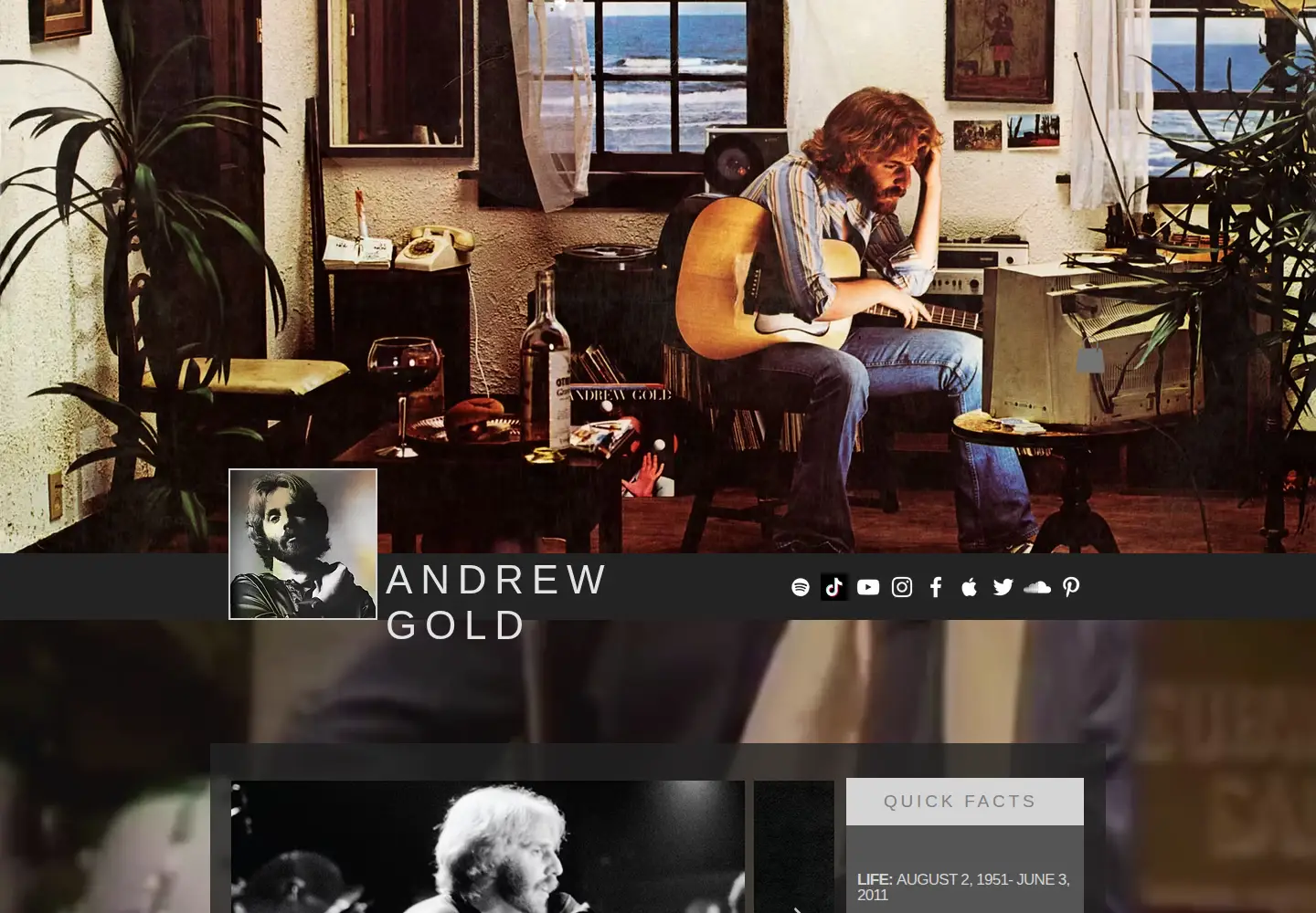 Screenshot of andrewgold.com