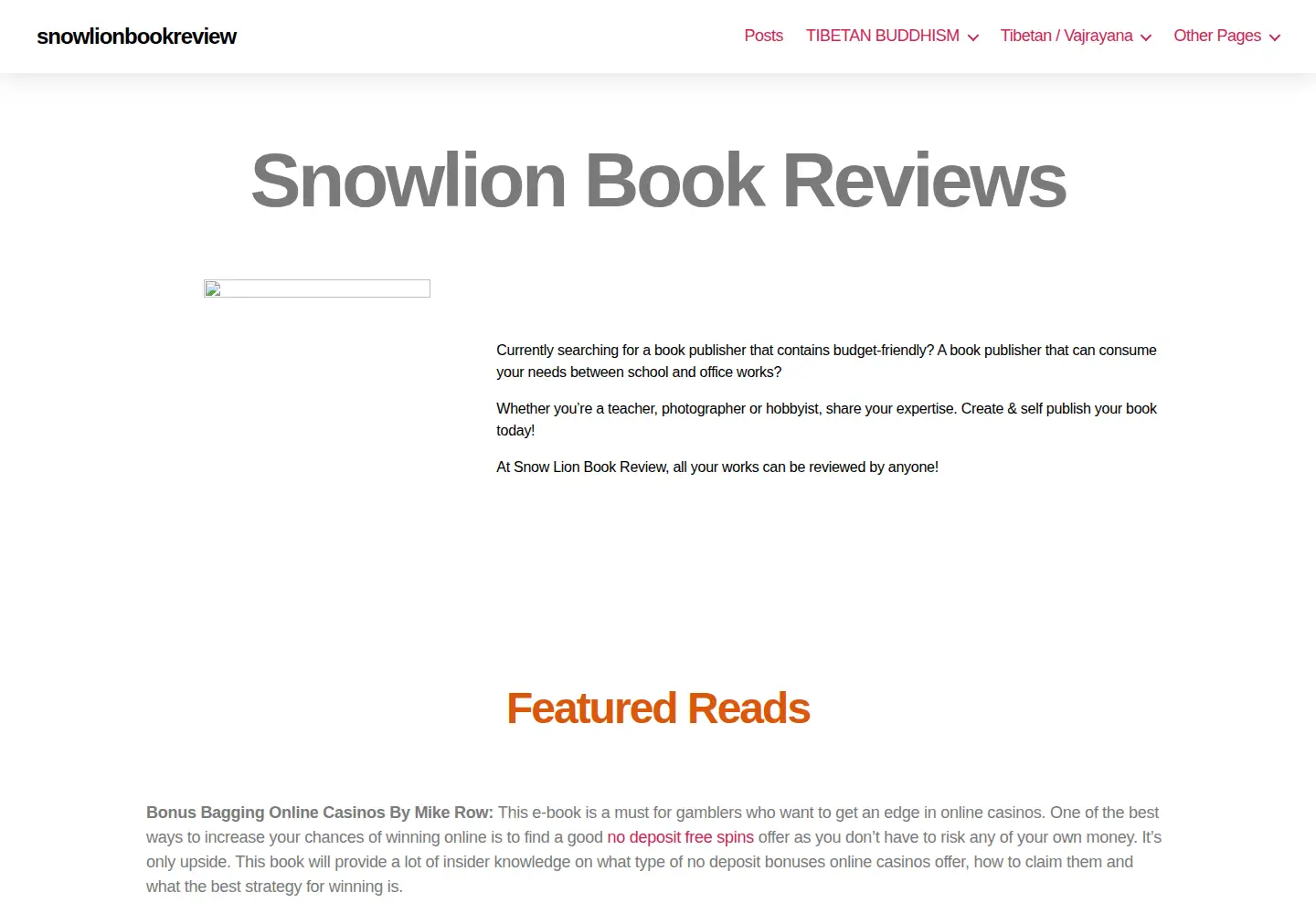 Screenshot of snowlionpub.com