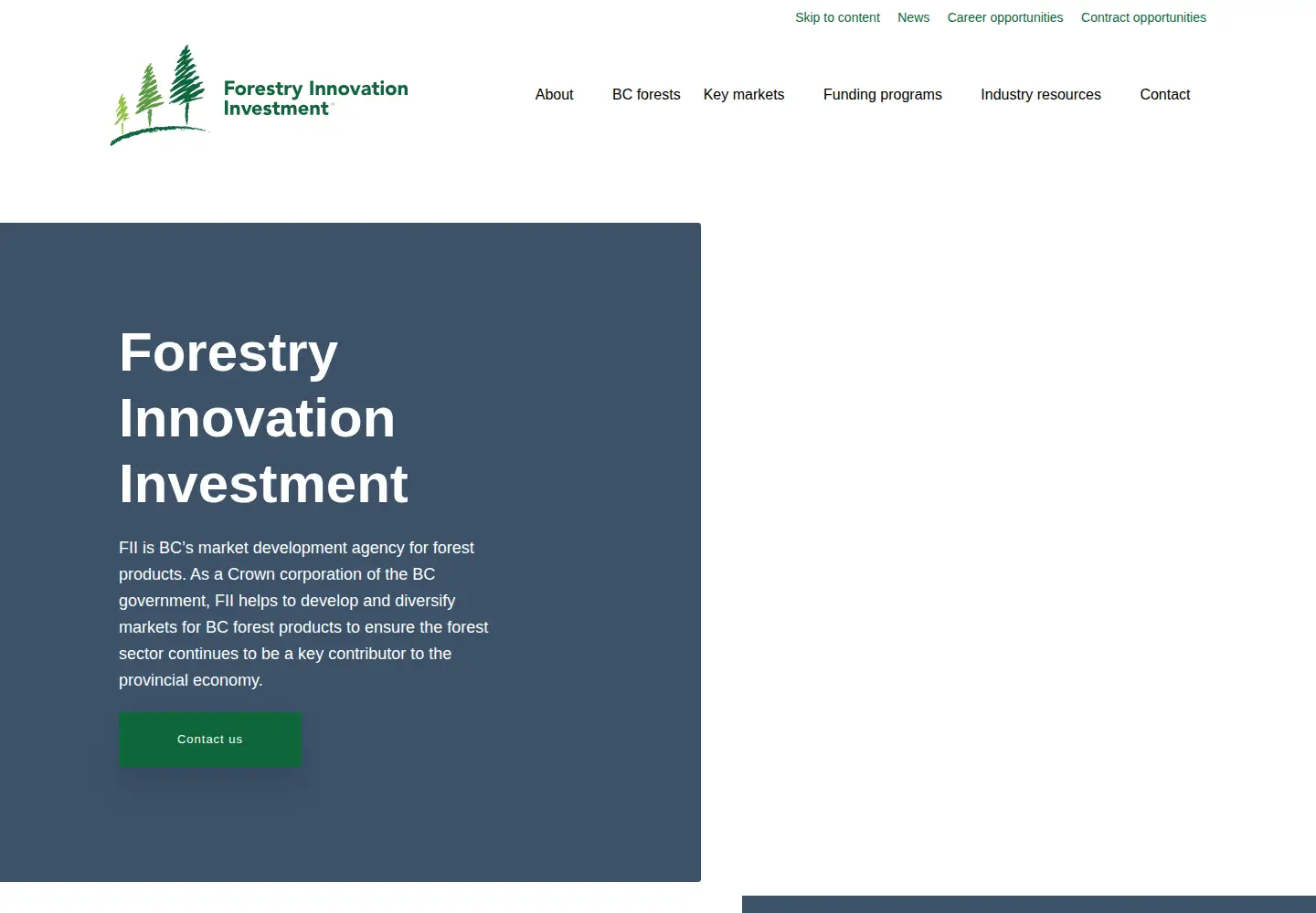 Screenshot of bcfii.ca