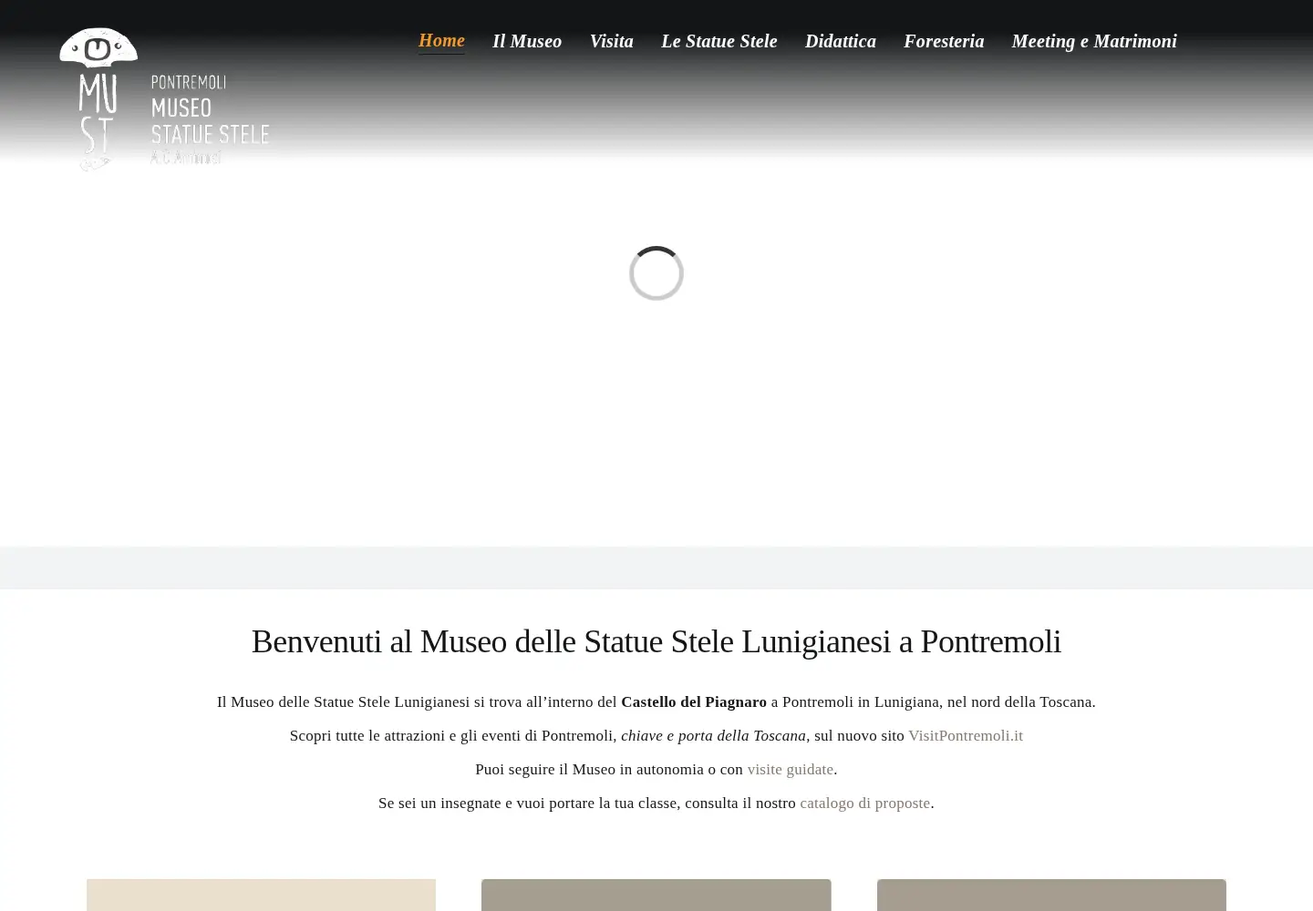 Captured homepage of statuestele.org in the current scan
