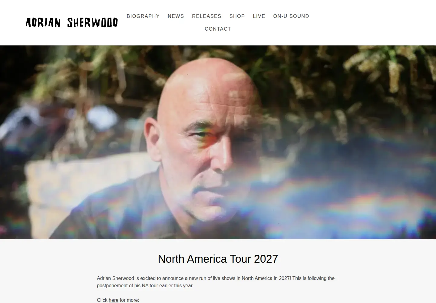 Screenshot of adriansherwood.com