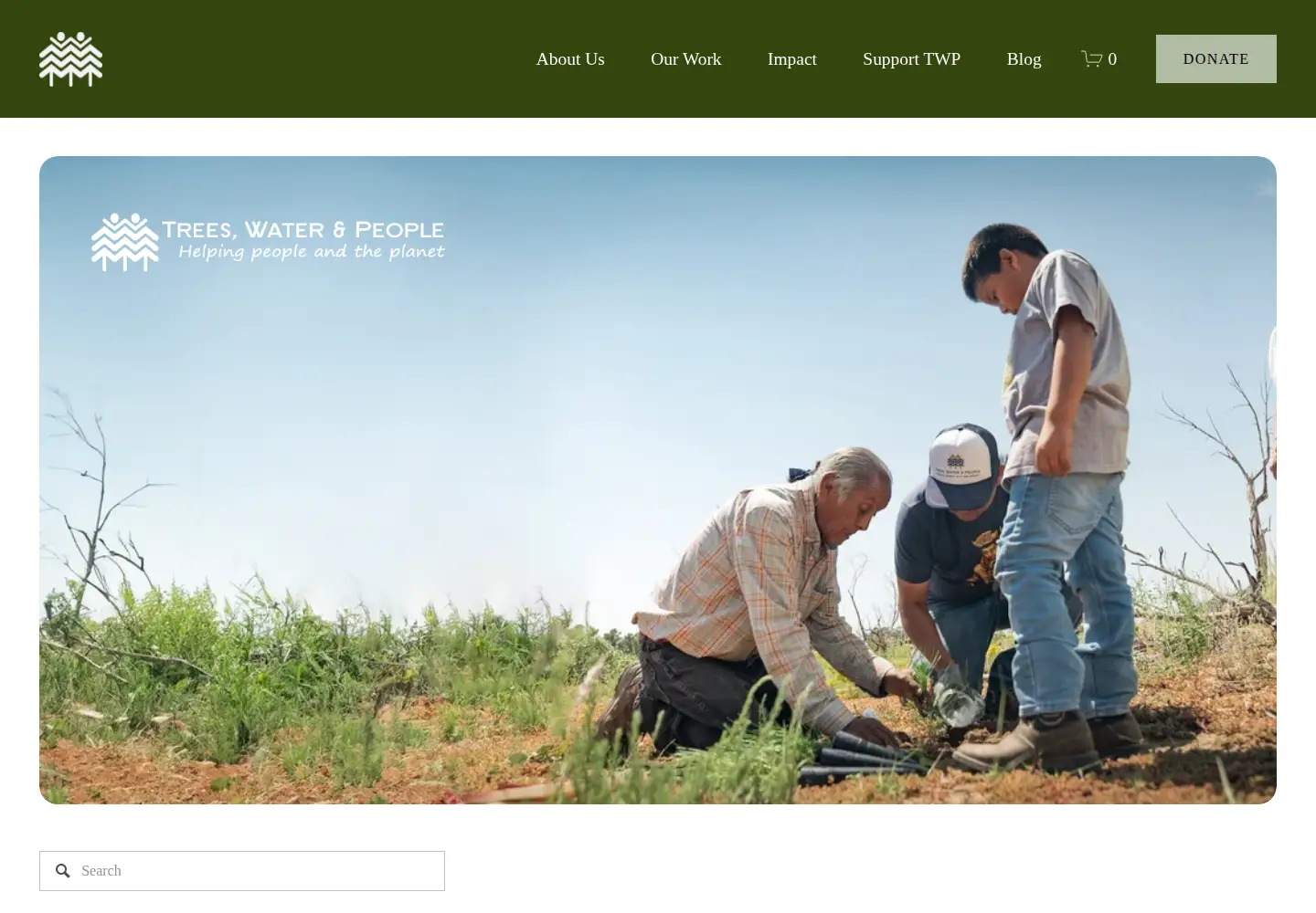 Screenshot of twp.org