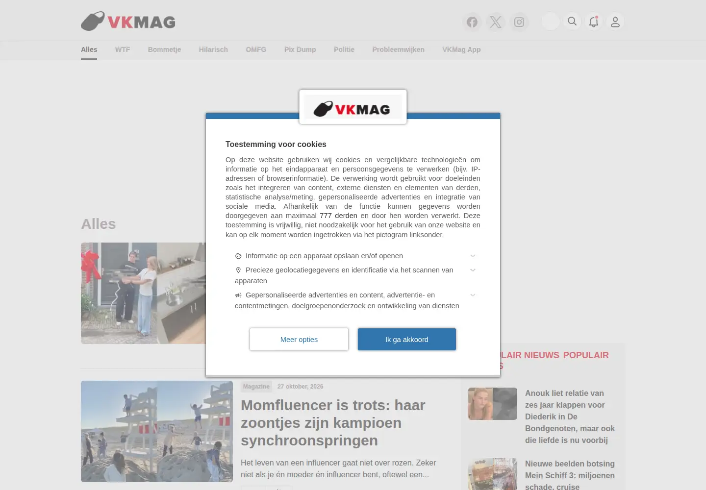 Captured homepage of vkmag.com in the current scan