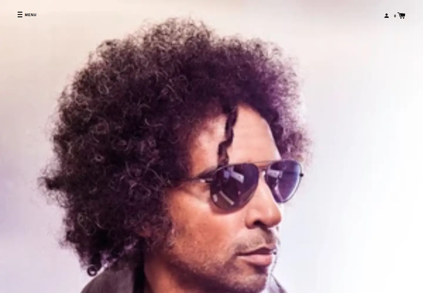 Screenshot of williamduvall.com