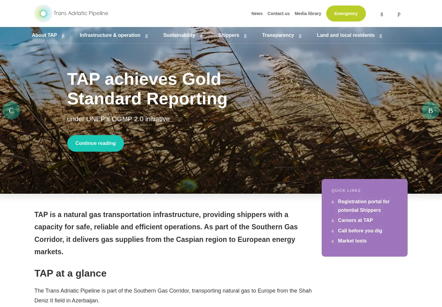 Screenshot of trans-adriatic-pipeline.com