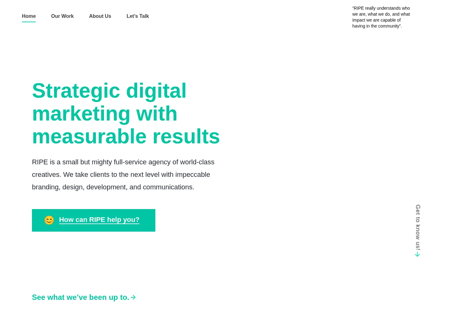 Screenshot of ripemedia.com