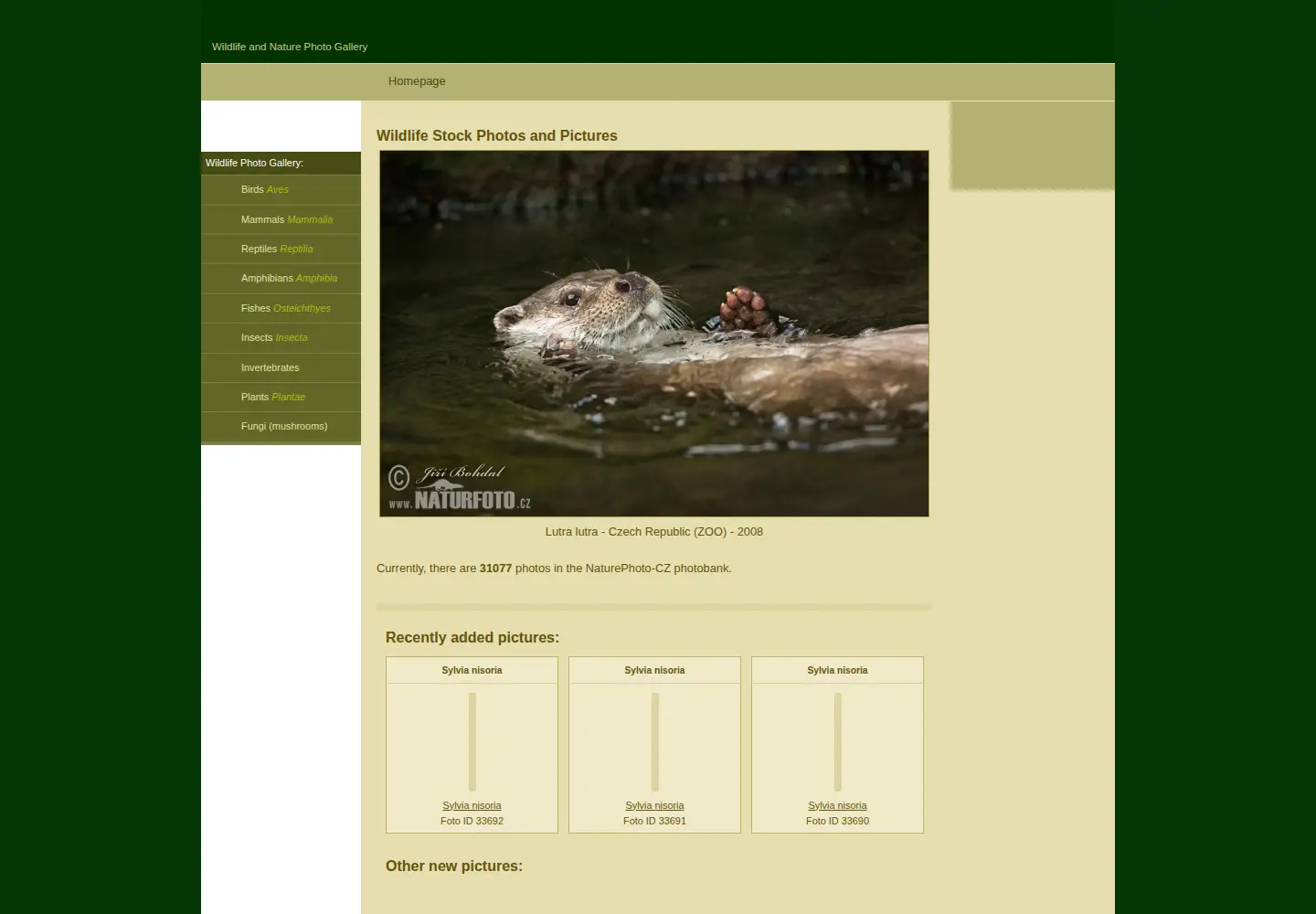 Captured homepage of naturephoto-cz.eu in the current scan