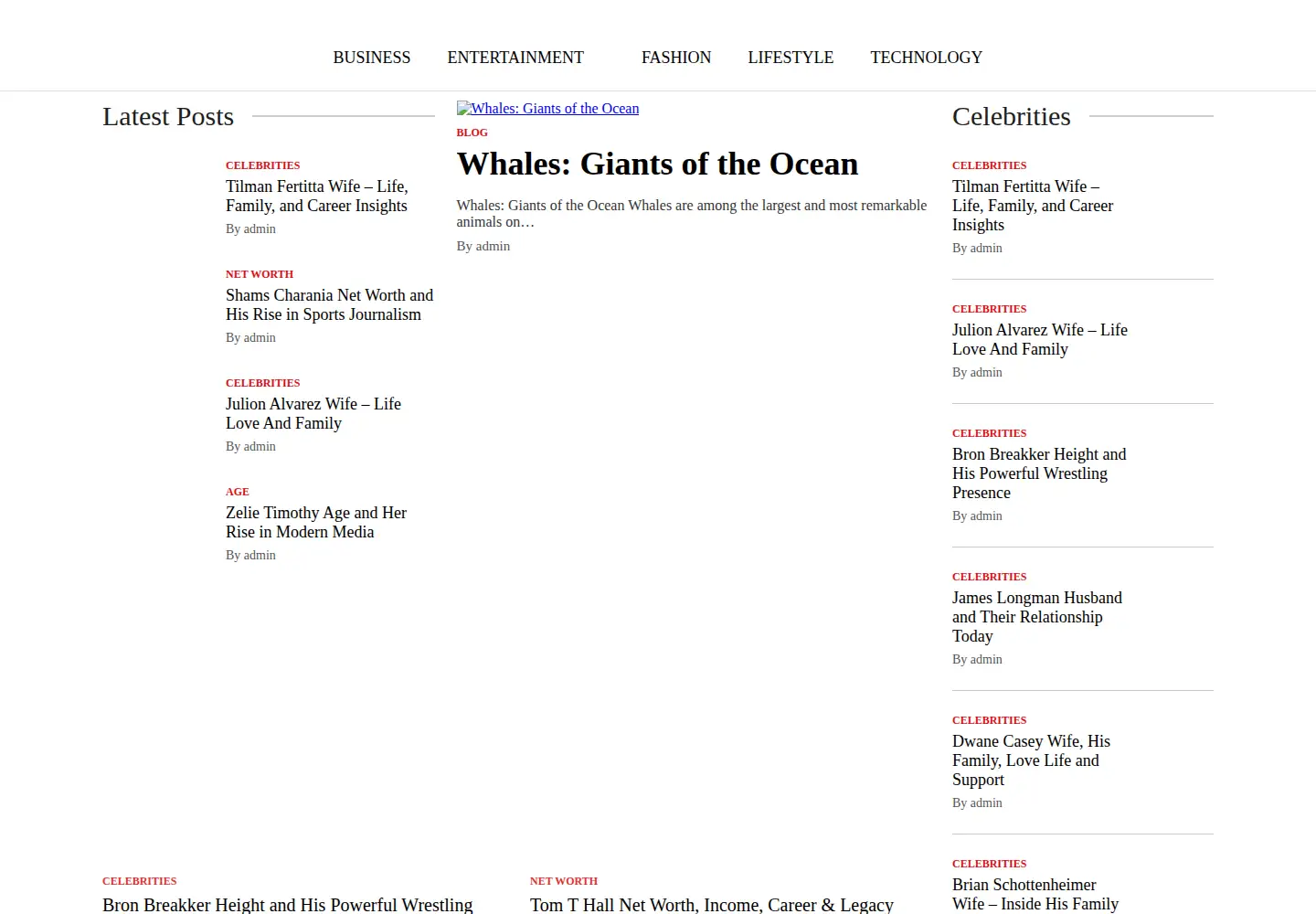 Captured homepage of infomagazine.com in the current scan