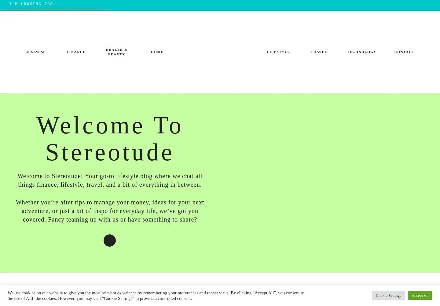Screenshot of stereotude.com