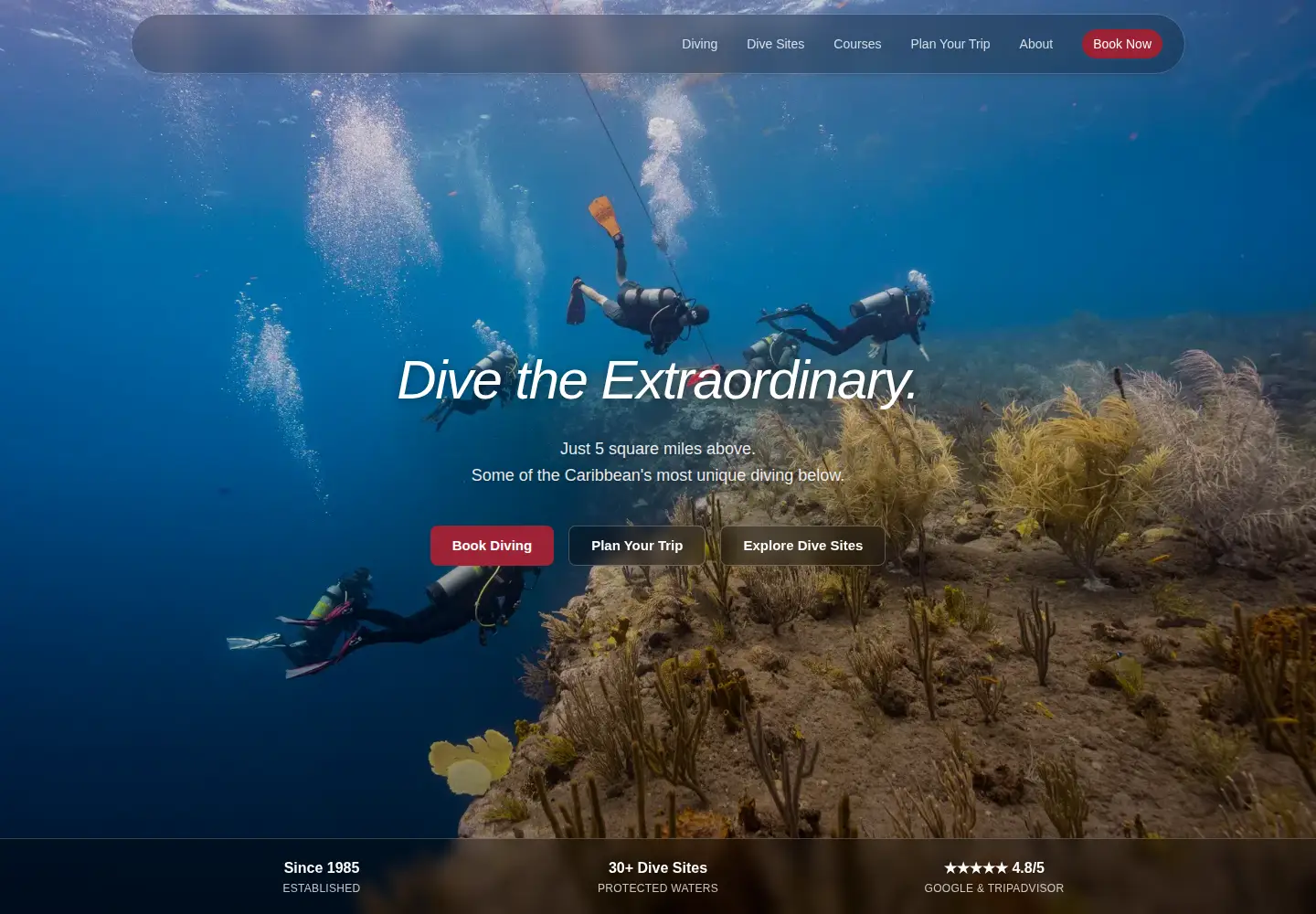 Screenshot of seasaba.com