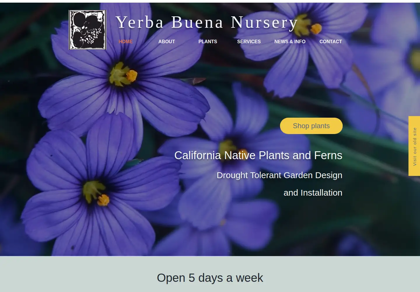 Captured homepage of yerbabuenanursery.com in the current scan