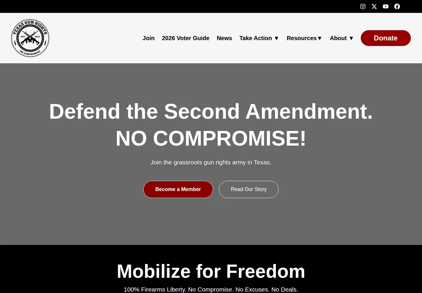 Screenshot of txgunrights.org